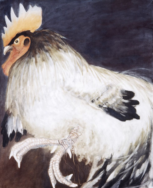 The rooster with the red crest, 72x60 cm.